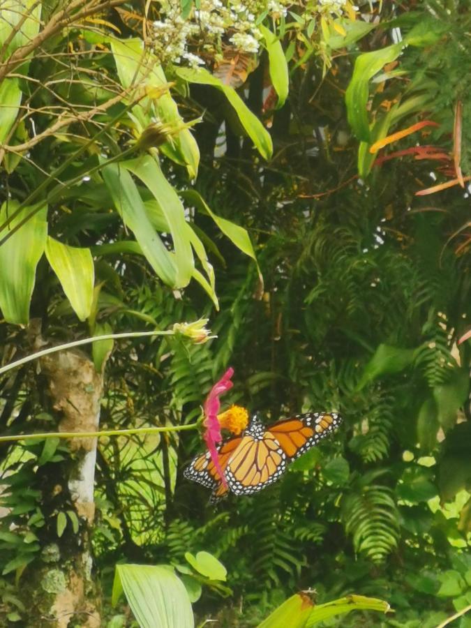 Appartamento El Zumbito El Valle de Anton Esterno foto